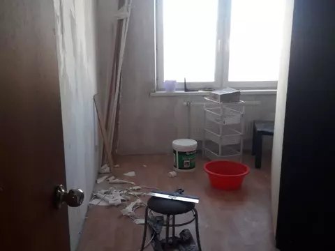 Клопы обнаружены! И где?